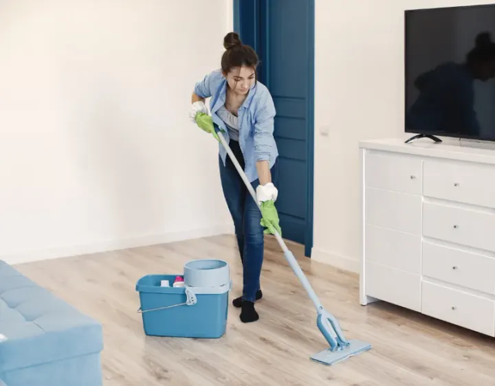 Femme de ménage Vomécourt